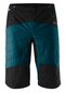 Primaloft Shorts Men Shorts Alvao M blue torrando teal